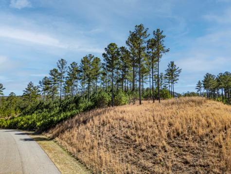 0 Loop Lane Blairsville GA 30512