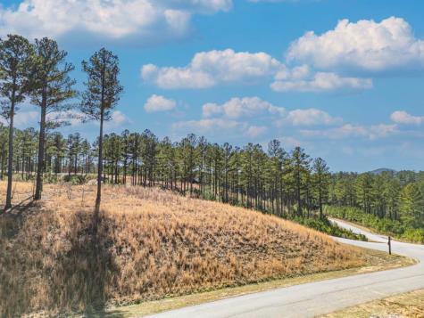 0 Loop Lane Blairsville GA 30512