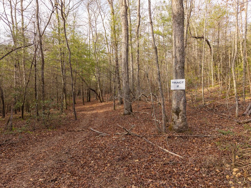 Trail 2 E New Hope Road E Ellijay GA 30536