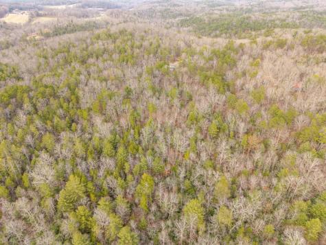 Trail 2 E New Hope Road E Ellijay GA 30536