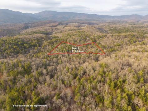 Trail 2 E New Hope Road E Ellijay GA 30536