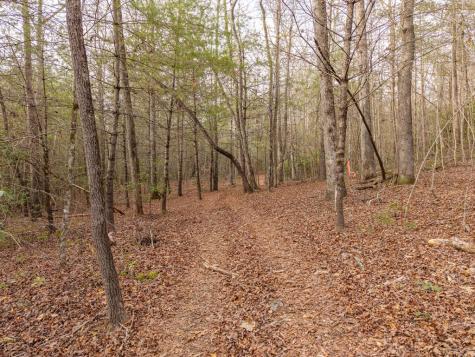 Trail 2 E New Hope Road E Ellijay GA 30536