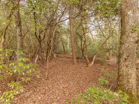 Trail 2 E New Hope Road E Ellijay GA 30536