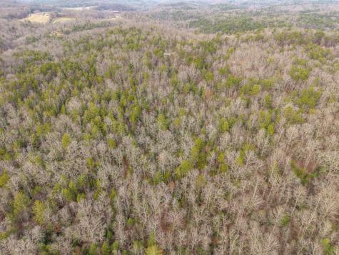 Trail 2 E New Hope Road E Ellijay GA 30536