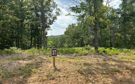 37 Blalock Mountain Road Ellijay GA 30540