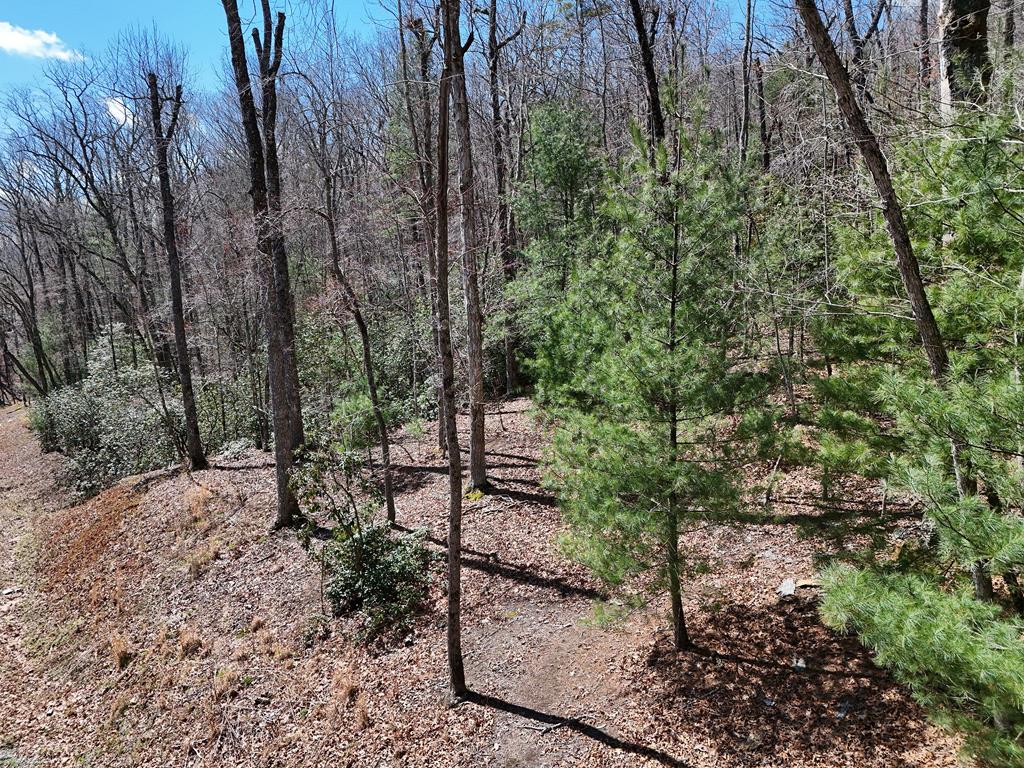 Lot 15 Native Trail Blue Ridge GA 30513
