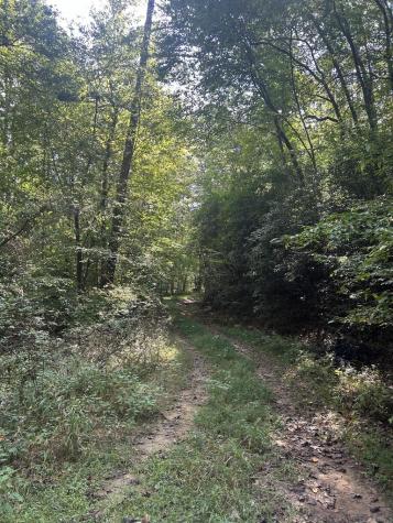 Tr 5 Mountain Pass Drive Hayesville NC 28904