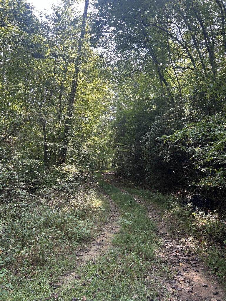 Tr 5 Mountain Pass Drive Hayesville NC 28904