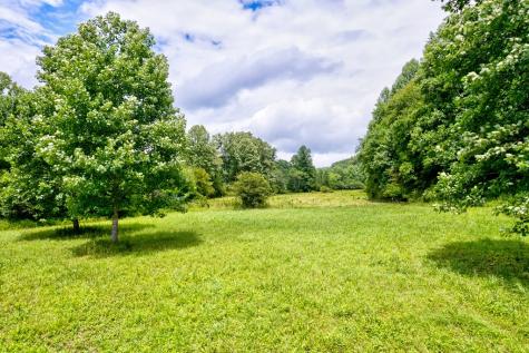 17.22 Ac Skeenah Gap Road Suches GA 30513