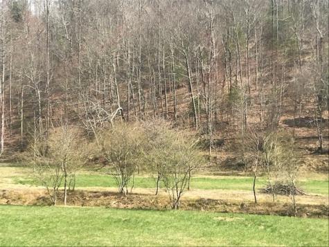 17.22 Ac Skeenah Gap Road Suches GA 30513