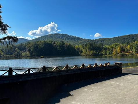 141 Autumn Fern Lane Ellijay GA 30536