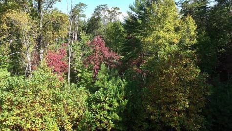 141 Autumn Fern Lane Ellijay GA 30536