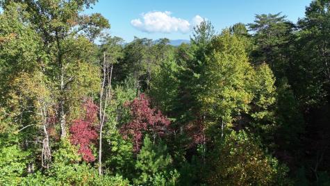 141 Autumn Fern Lane Ellijay GA 30536