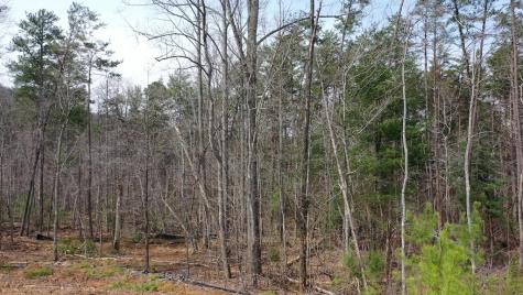 141 Autumn Fern Lane Ellijay GA 30536