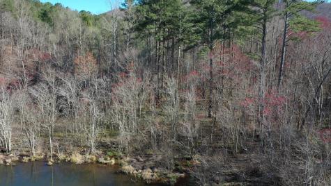 141 Autumn Fern Lane Ellijay GA 30536