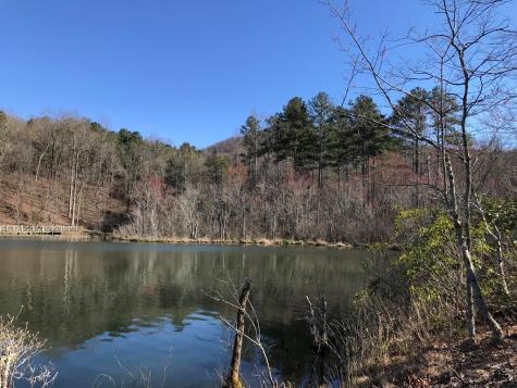 141 Autumn Fern Lane Ellijay GA 30536