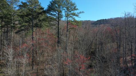 141 Autumn Fern Lane Ellijay GA 30536