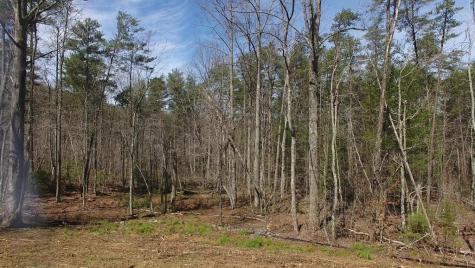 141 Autumn Fern Lane Ellijay GA 30536