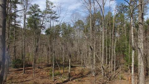 141 Autumn Fern Lane Ellijay GA 30536