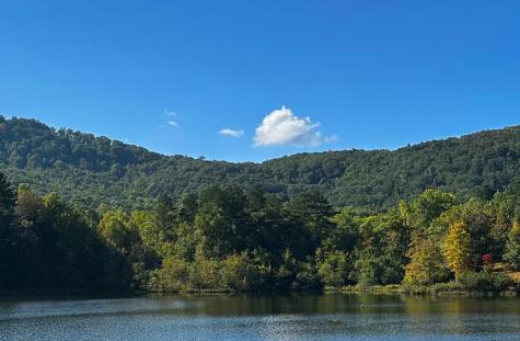 141 Autumn Fern Lane Ellijay GA 30536