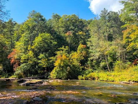 Lt 930 Myna Drive Ellijay GA 30540