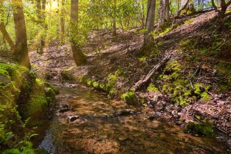 Lt 930 Myna Drive Ellijay GA 30540