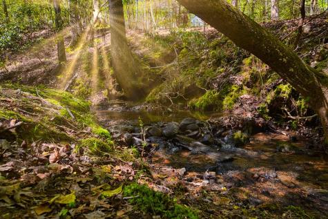 Lt 930 Myna Drive Ellijay GA 30540