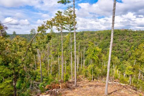 Lt 930 Myna Drive Ellijay GA 30540