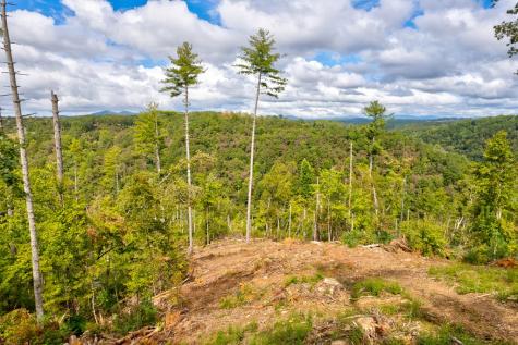 Lt 930 Myna Drive Ellijay GA 30540