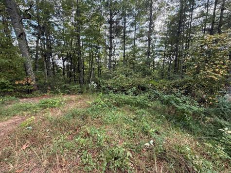 183 Mundy Road Marble NC 28905