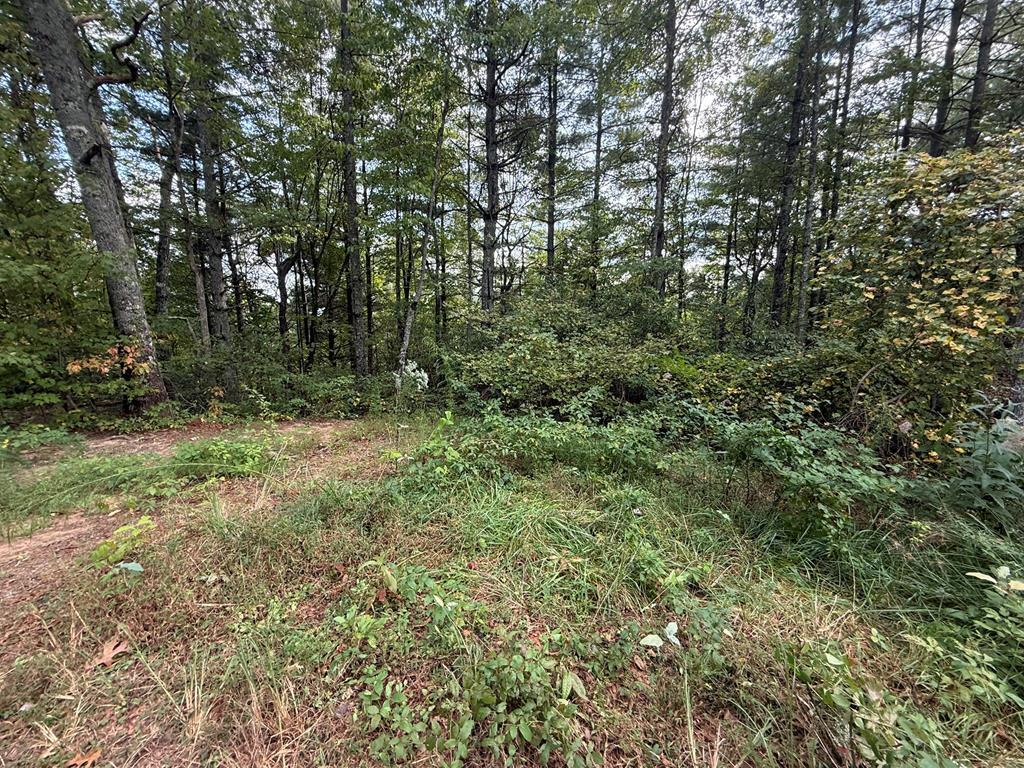 183 Mundy Road Marble NC 28905