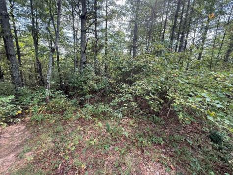 183 Mundy Road Marble NC 28905