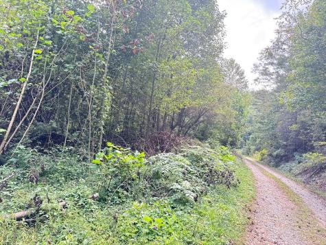 183 Mundy Road Marble NC 28905