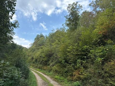 183 Mundy Road Marble NC 28905