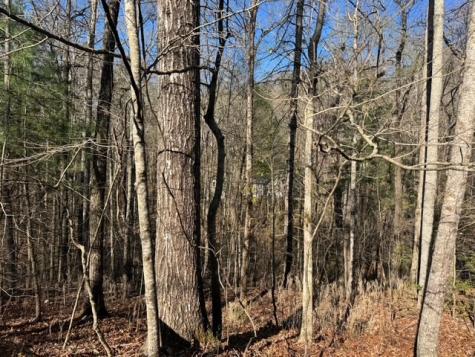 00 Robin Road Murphy NC 28906
