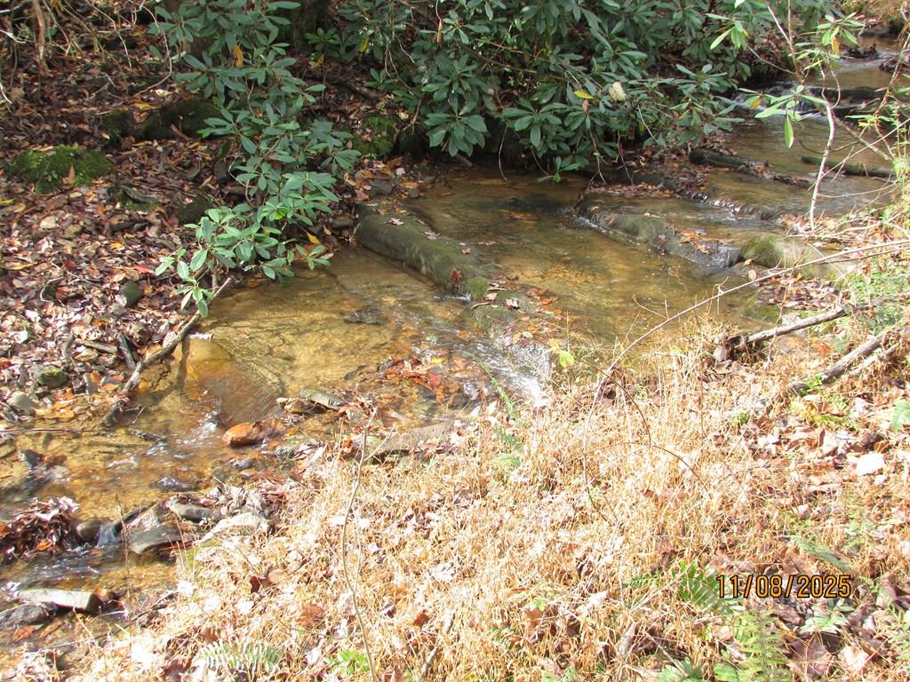 Tract 5 Wikle Road Hayesville NC 28904