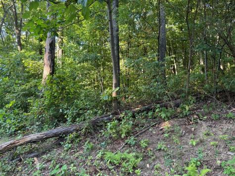 0 Trailwood Drive Ellijay GA 30536