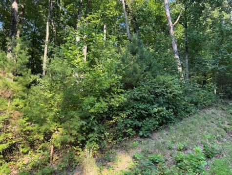 0 Trailwood Drive Ellijay GA 30536