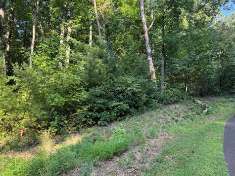 0 Trailwood Drive Ellijay GA 30536