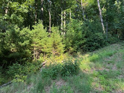 0 Trailwood Drive Ellijay GA 30536