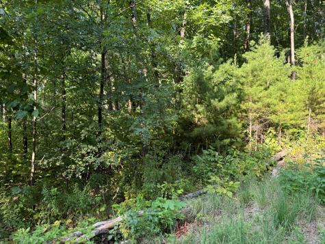 0 Trailwood Drive Ellijay GA 30536