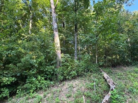 0 Trailwood Drive Ellijay GA 30536