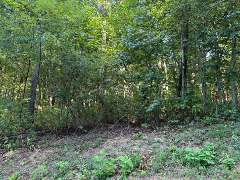 0 Trailwood Drive Ellijay GA 30536