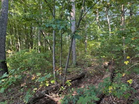 0 Trailwood Drive Ellijay GA 30536