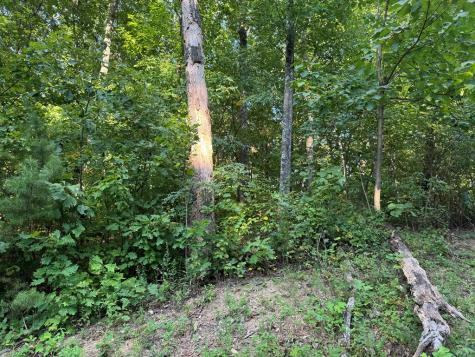 0 Trailwood Drive Ellijay GA 30536