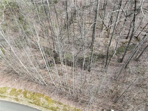 64 Street Andrews Way Ellijay GA 30536