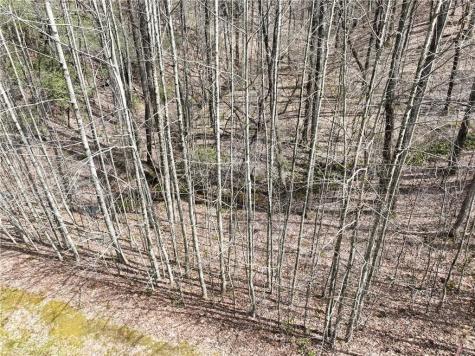 64 Street Andrews Way Ellijay GA 30536