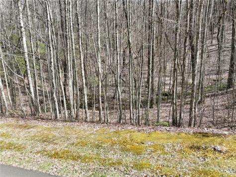 64 Street Andrews Way Ellijay GA 30536