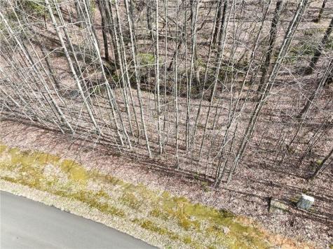 64 Street Andrews Way Ellijay GA 30536