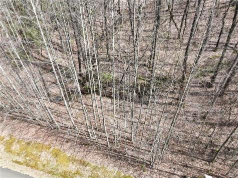 64 Street Andrews Way Ellijay GA 30536